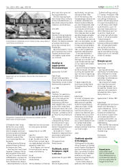 Síða 17