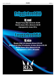 Síða 19