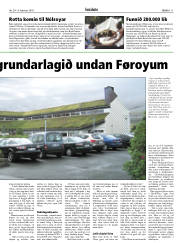 Síða 11