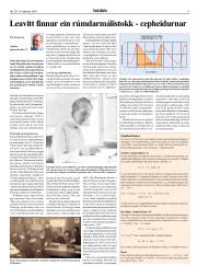 Síða 17