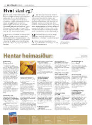 Síða 2