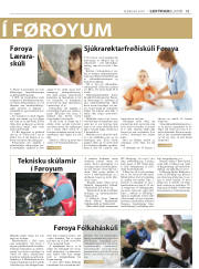 Síða 17