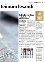 Síða 21