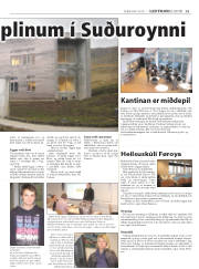 Síða 25