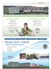 Síða 27