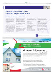 Síða 25