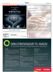 Síða 41