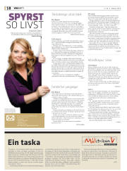 Síða 18