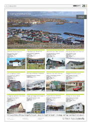 Síða 21
