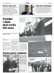 Síða 9