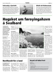 Síða 11