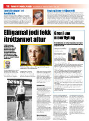 Síða 16