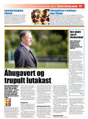 Síða 17
