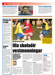 Síða 20