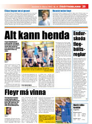 Síða 23