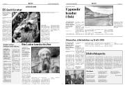 Síða 5