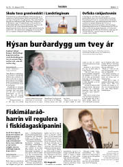 Síða 11