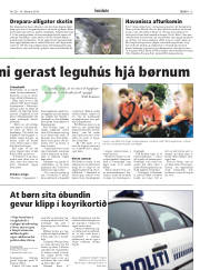 Síða 13