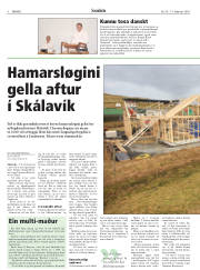 Síða 8