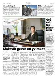 Síða 11