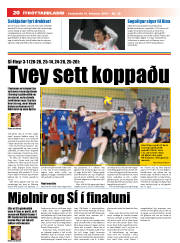 Síða 20