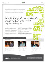 Síða 13