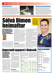 Síða 28