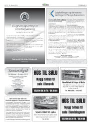 Síða 29