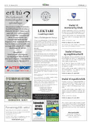 Síða 31