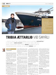 Síða 12