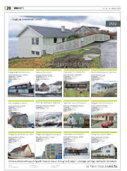 Síða 20