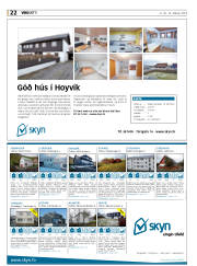 Síða 22