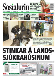 Síða 1
