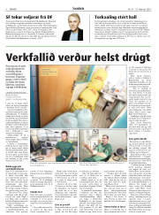 Síða 8