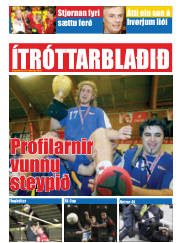 Síða 15
