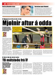 Síða 22