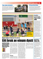 Síða 23