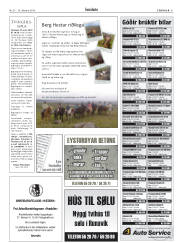 Síða 31