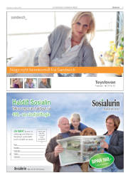 Síða 21