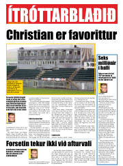 Síða 33