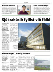 Síða 6
