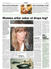 Síða 11
