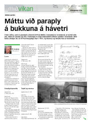 Síða 17