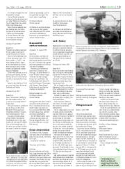 Síða 19