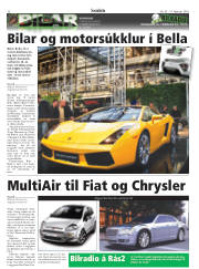 Síða 30