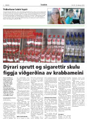 Síða 8