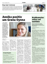 Síða 11