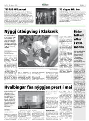 Síða 11