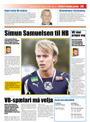Síða 29