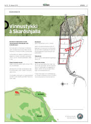 Síða 15